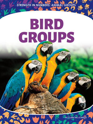 cover image of Bird Groups
